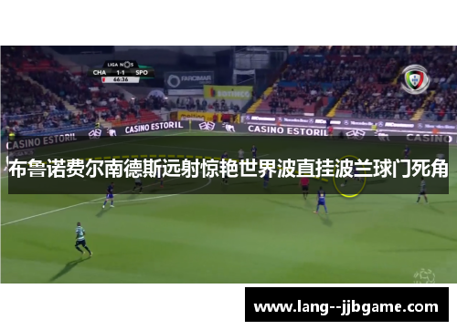 布鲁诺费尔南德斯远射惊艳世界波直挂波兰球门死角